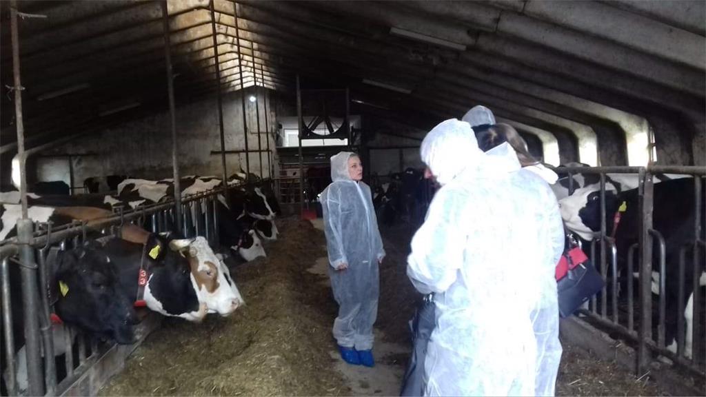 Petir posjetila Koprivnicu i Ludbreg